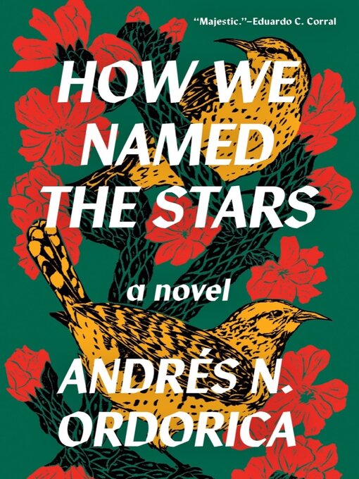 Title details for How We Named the Stars by Andrés N. Ordorica - Wait list